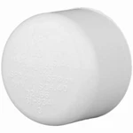 Charlotte Pvc 02116 1200ha 1-1/4" Schedule 40 Pressure Cap Slip - 25 Pack. Fixed Price $48.90.